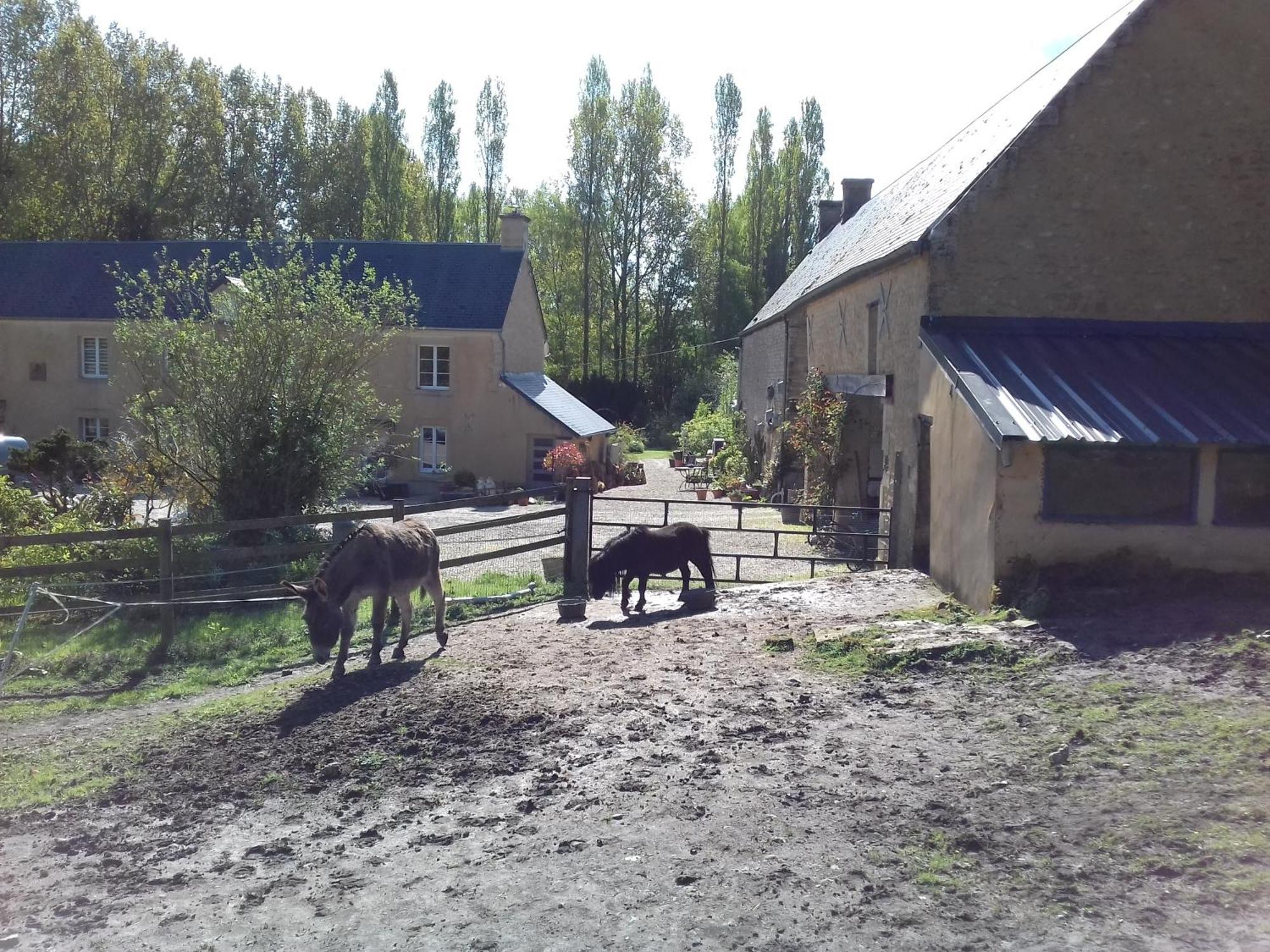 Gite Du Jardin Des Sources Vaux-sur-Seulles Buitenkant foto
